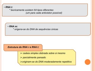  cromossomos muito pequenos – descrição cariótipa – restrita ao número cromossômico