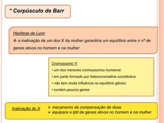  qtd de DNA duplicada