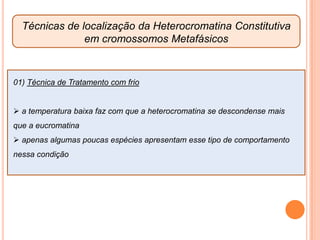  2 cromátides por cromossomo
