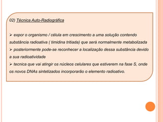  G2PRÓFASEmassa difusa              CROMONEMA