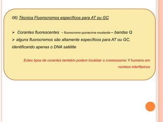  espalhados pelo núcleo METÁFASEalinhados no plano mediano da célula