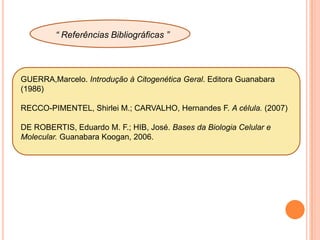  encurtamento das fibras do fuso