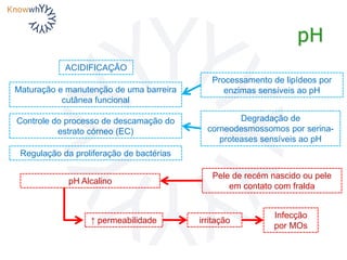 pH
ACIDIFICAÇÃO
Maturação e manutenção de uma barreira
cutânea funcional
Processamento de lipídeos por
enzimas sensíveis ao pH
Controle do processo de descamação do
estrato córneo (EC)
pH Alcalino
Regulação da proliferação de bactérias
Pele de recém nascido ou pele
em contato com fralda
↑ permeabilidade irritação
Infecção
por MOs
Degradação de
corneodesmossomos por serina-
proteases sensíveis ao pH
 