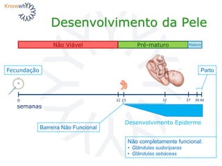 Desenvolvimento da Pele
Fecundação
23
semanas
0 32 4039
Pré-maturoNão Viável Maduro
3722
Desenvolvimento Epiderme
Parto
Barreira Não Funcional
Não completamente funcional:
• Glândulas sudoríparas
• Glândulas sebáceas
 