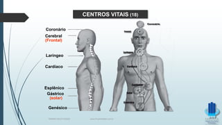 Coronário
Cerebral
(Frontal)
Laríngeo
Cardíaco
Gástrico
(solar)
Esplênico
Genésico
CENTROS VITAIS (18)
TERAPIA PELOS PASSES www.ProjetoMpM.com.br
 