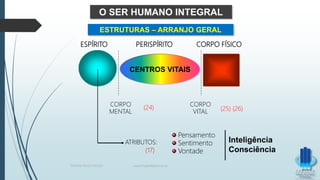 CENTROS VITAIS
ESPÍRITO PERISPÍRITO CORPO FÍSICO
CORPO
MENTAL
CORPO
VITAL
ATRIBUTOS:
Pensamento
Sentimento
Vontade
Inteligência
Consciência(17)
O SER HUMANO INTEGRAL
ESTRUTURAS – ARRANJO GERAL
(24) (25) (26)
TERAPIA PELOS PASSES www.ProjetoMpM.com.br
 
