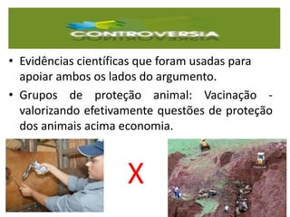 • Evidências científicas que foram usadas para
apoiar ambos os lados do argumento.
• Grupos de proteção animal: Vacinação -
valorizando efetivamente questões de proteção
dos animais acima economia.
X
 