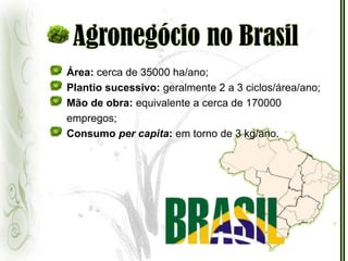 Agronegócio no BrasilÁrea: cerca de 35000 ha/ano;Plantio sucessivo: geralmente 2 a 3 ciclos/área/ano;Mão de obra: equivalente a cerca de 170000 empregos;Consumo per capita: em torno de 3 kg/ano.