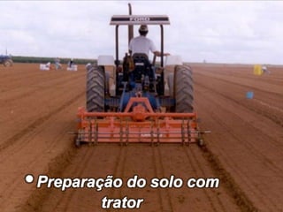 • Canteiros prontos para uso• Preparação do solo com trator