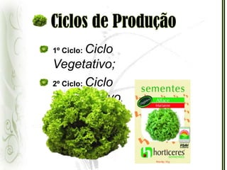 Ciclos de Produção1º Ciclo: Ciclo Vegetativo;2º Ciclo: Ciclo Reprodutivo.