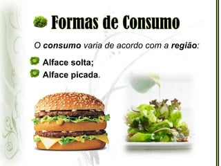 Formas de ConsumoO consumo varia de acordo com a região:Alface solta;Alface picada.