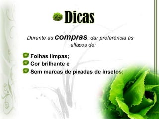 Principais PragasLMV – Lettucemosaicvirus (Vírus do Mosaico da Alface);LMoV – Lettucemotlevírus (Vírus do Mosqueado da Alface);Tospovírus; LBVV – Lettucebig-veinvírus (Vírus de Grandes Veias da Alface);Fungo Thielaviosisbasicola.