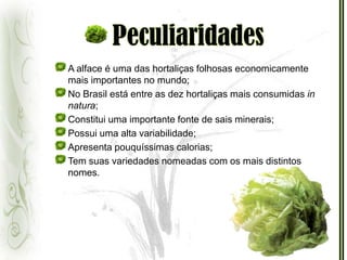 PeculiaridadesA alface é uma das hortaliças folhosas economicamente mais importantes no mundo; No Brasil está entre as dez hortaliças mais consumidas in natura;Constitui uma importante fonte de sais minerais;Possui uma alta variabilidade;Apresenta pouquíssimas calorias; Tem suas variedades nomeadas com os mais distintos nomes.
