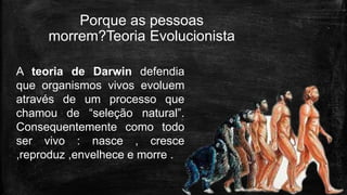 Porque as pessoas
morrem?Teoria Evolucionista
A teoria de Darwin defendia
que organismos vivos evoluem
através de um processo que
chamou de “seleção natural”.
Consequentemente como todo
ser vivo : nasce , cresce
,reproduz ,envelhece e morre .
 
