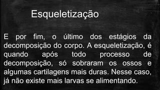E por fim, o último dos estágios da
decomposição do corpo. A esqueletização, é
quando após todo processo de
decomposição, só sobraram os ossos e
algumas cartilagens mais duras. Nesse caso,
já não existe mais larvas se alimentando.
Esqueletização
 