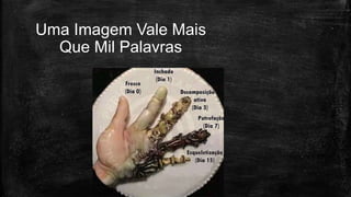 Uma Imagem Vale Mais
Que Mil Palavras
 