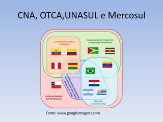 CNA, OTCA,UNASUL e Mercosul
Fonte: www.googleimagens.com
 
