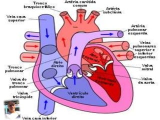 VI SEMESTRE DE ENFERMAGEM-FSAA

 