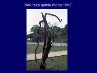 Natureza quase morta 1993
 
