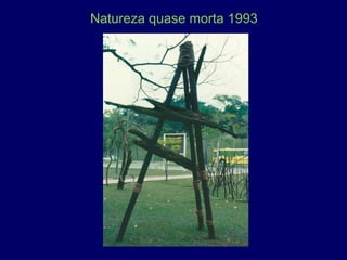 Natureza quase morta 1993
 