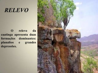 RELEVO
O relevo da
caatinga apresenta duas
formações dominantes:
planaltos e grandes
depressões.
 