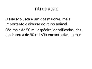 Introdução
O Filo Molusca é um dos maiores, mais
importante e diverso do reino animal.
São mais de 50 mil espécies identificadas, das
quais cerca de 30 mil são encontradas no mar
 