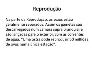 Reprodução
Na parte da Reprodução, os sexos estão
geralmente separados. Assim os gametas são
descarregados num câmara supra branquial e
são lançadas para o exterior, com as correntes
de água. “Uma ostra pode reproduzir 50 milhões
de ovos numa única estação”.
 