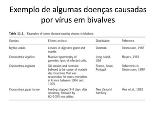 Exemplo de algumas doenças causadas
        por vírus em bivalves
 