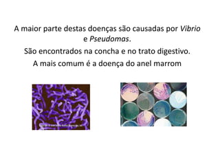A maior parte destas doenças são causadas por Vibrio
                   e Pseudomas.
  São encontrados na concha e no trato digestivo.
     A mais comum é a doença do anel marrom
 