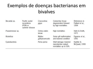 Exemplos de doenças bacterianas em
             bivalves
 