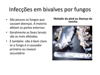 Infecções em bivalves por fungos
• São poucos os fungos que      Maladie du pied ou Doença da
                                           concha
  causam doenças. A maioria
  afetam as partes externas
• Geralmente as fases larvais
  são as mais afetadas.
• E também não é bem claro
  se o fungo é o causador
  primário ou invasor
  secundário
 