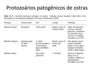 Protozoários patogênicos de ostras
 