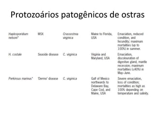 Protozoários patogênicos de ostras
 