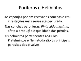 Poríferos e Helmintos
As esponjas podem escavar as conchas e em
  infestações mais sérias até perfurá-la.
Nas conchas perolíferas, Pintacdda maxima,
  afeta a produção e qualidade das pérolas.
Os helmintos pertencentes aos Filos
  Platelmintos e Nematoda são os principais
  parasitas dos bivalves
 