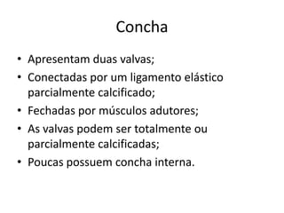 Concha
• Apresentam duas valvas;
• Conectadas por um ligamento elástico
  parcialmente calcificado;
• Fechadas por músculos adutores;
• As valvas podem ser totalmente ou
  parcialmente calcificadas;
• Poucas possuem concha interna.
 