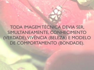 TODA IMAGEM TÉCNICA DEVIA SER,
SIMULTANEAMENTE, CONHECIMENTO
(VERDADE),VIVÊNCIA (BELEZA) E MODELO
DE COMPORTAMENTO (BONDADE).
 