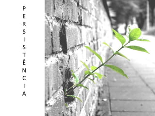 P
E
R
S
I
S
T
Ê
N
C
I
A
 