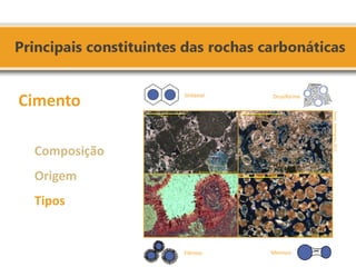 Cimento 
Composição Origem Tipos 
Fonte: Domingues, 2011. 
Sintaxial 
Drusiforme 
Fibroso 
Menisco  
