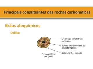 Grãos aloquímicos 
Oólito 
 