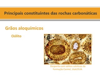 Grãos aloquímicos 
Oólito 
Oosparito com oólitos calcíticos da Formação Carmel, Utah/EUA. 
Fonte: Domingues, 2011.  