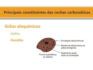 Grãos aloquímicos Oólito Oncólito  