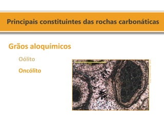 Grãos aloquímicos 
Oólito 
Oncólito 
Fonte: Neuma e Valença, 2012.  
