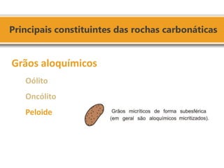 Grãos aloquímicos 
Oólito 
Oncólito 
Peloide 
 