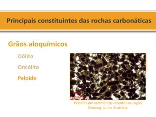 Grãos aloquímicos Oólito Oncólito Peloide 
Peloides em sedimentos recentes na Lagoa Coorong, sul da Austrália. 
Fonte: Domingues, 2011.  