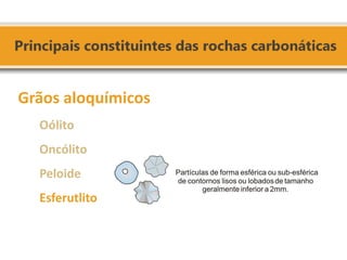 Grãos aloquímicos Oólito Oncólito Peloide Esferutlito  
