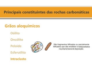 Grãos aloquímicos Oólito Oncólito Peloide Esferutlito Intraclasto  