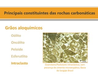 Grãos aloquímicos 
Oólito 
Oncólito 
Peloide 
Esferutlito 
Intraclasto 
Grainstone/Packstone intraclástico, com presença de cimento microespático, Bacia do Sergipe-Brasil 
Fonte: Rangel, 2002.  