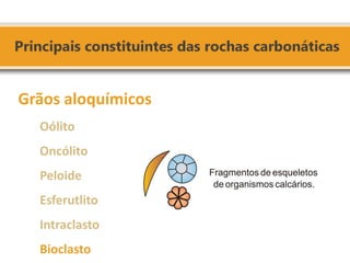 Grãos aloquímicos 
Oólito 
Oncólito 
Peloide 
Esferutlito 
Intraclasto 
Bioclasto 
 