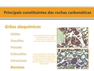 Grãos aloquímicos 
Oólito 
Oncólito 
Peloide 
Esferutlito 
Intraclasto 
Bioclasto 
Grainstone/packstone intraclástico exibindo fragmentos de algas vermelhas e um espinho de equinóide, Bacia do Sergipe-Brasil. 
Grainstone/packstone intraclástico exibindo fragmentos de gastrópodes (1), algas vermelhas (2), algas verdes dasicladáceas (3), e foraminíferos bentônicos aglutinantes (4), Bacia do Sergipe-Brasil. 
Fonte: Rangel, 2002. 
Fonte: Rangel, 2002.  
