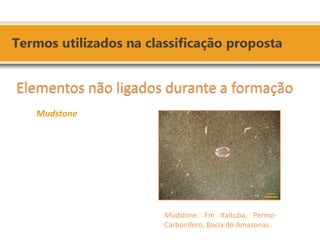 Elementos não ligados durante a formação Mudstone 
Mudstone. Fm Itaituba, Permo- Carbonífero, Bacia do Amazonas.  